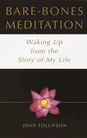 Bare-Bones
            Meditation: Waking Up from the Story of My Life