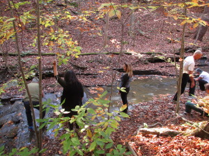 Toni's ashes joining the Center stream (photo by Ron Mitchell)