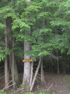 "Falls Trail" leads off the lower field to the cascade