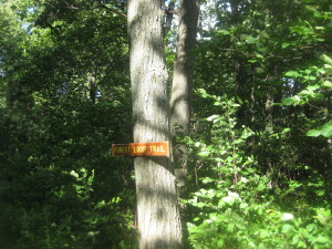 Entering North Woods - Forest Loop Trail