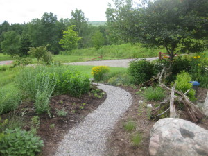 Back at the building, another path--through the wellhead garden designed and planted by Richard Shearer and Bruce Sternberg
