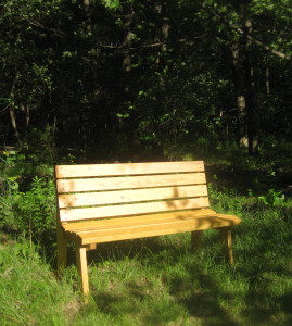 New bench at edge of north field 