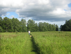 North field path - mowing is also done by Brian