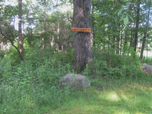 Just beyond the pond-sign points the way to the north field
