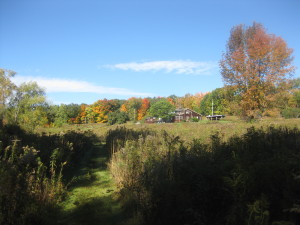 The Center in October 